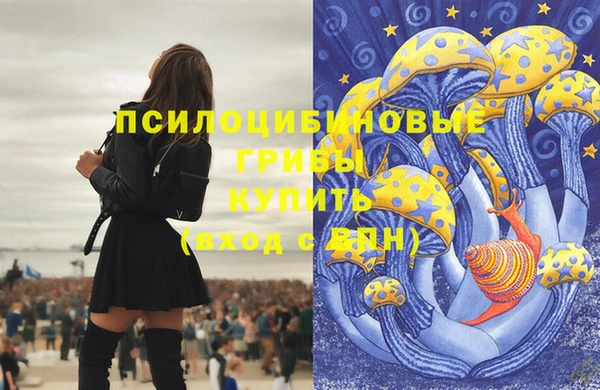 mdpv Верхний Тагил